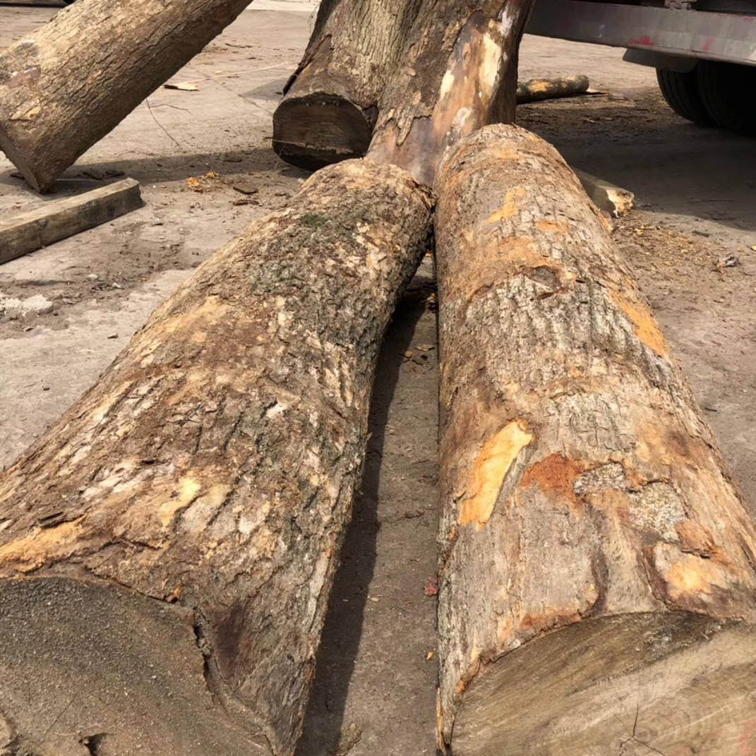 进口香樟木原木 香樟木烘干板材 国产香樟木 厂家直销 海棠木花梨