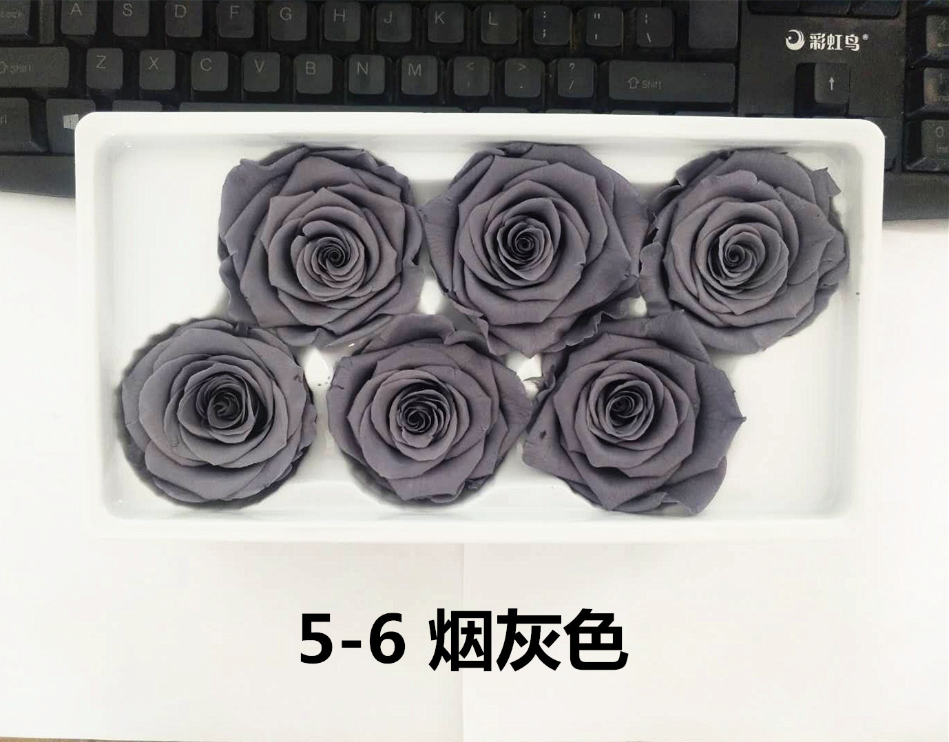 5-6cma级保鲜玫瑰永生花花头七夕情人节圣诞节生日礼品礼盒花材