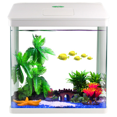 小型金造景家用小造景迷你水族箱桌面生态造景免换水懒人造景鱼缸