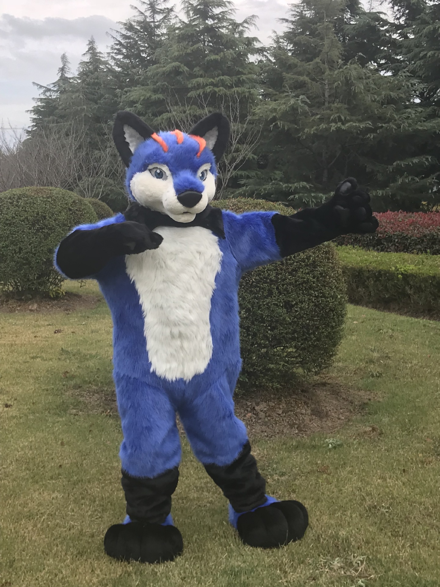 fursuit兽装 动物服装动漫角色扮演动物衣服cosplay卡通人偶服装