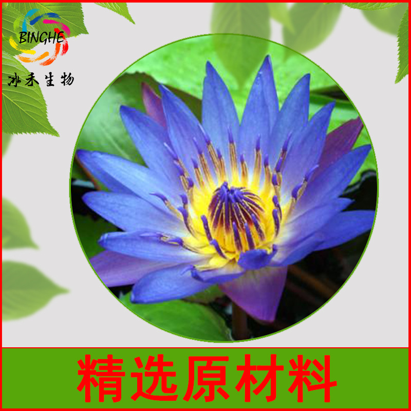 蓝睡莲提取物50:1 埃及蓝睡莲提取物 冰禾直销 蓝莲花提取物 包邮