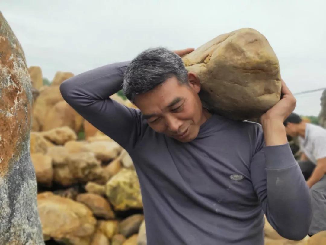 从事搬运石头的工作二十余年.