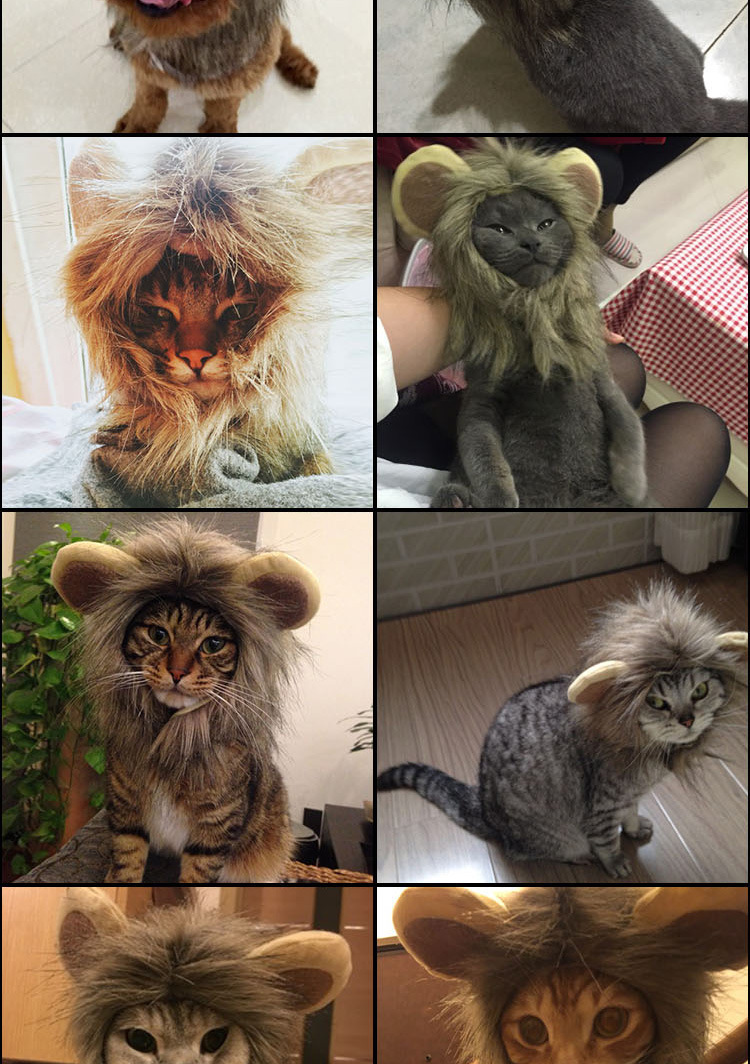 小耳朵狮子假发 宠物头饰跨境狗狗猫咪狮子头套变装帽子