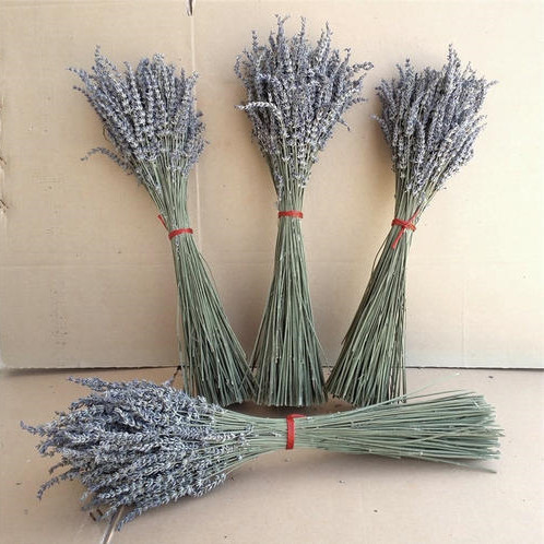 干花礼物批发薰衣草英国兰花束 客厅装饰干花永生花拍摄道具-阿里巴巴