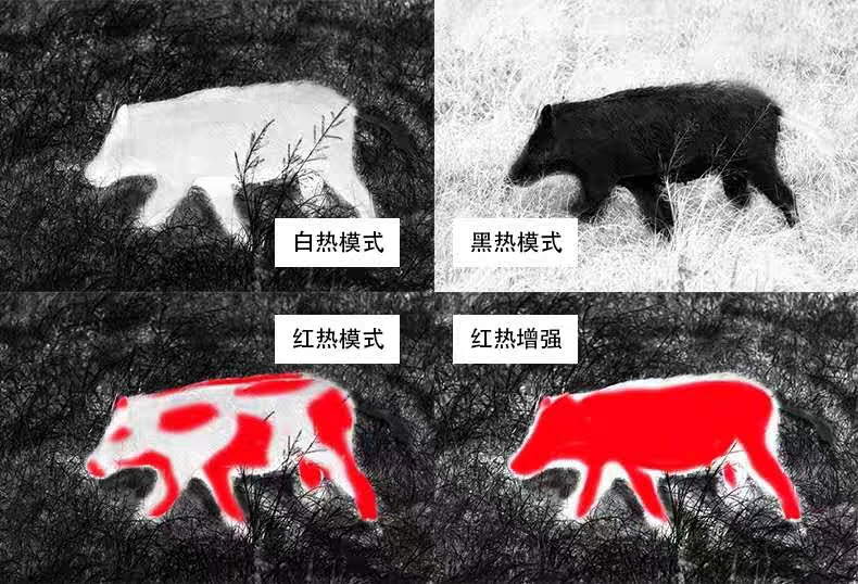 军工热像仪 高清显示屏热像仪打猎侦查夜间巡逻 录像拍照热成像仪