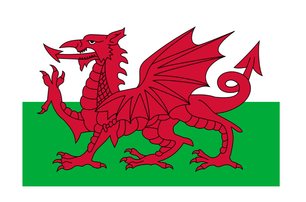 90*150cm威尔士国旗厂家供应4号涤纶旗帜竞选旗手摇旗子现货批发
