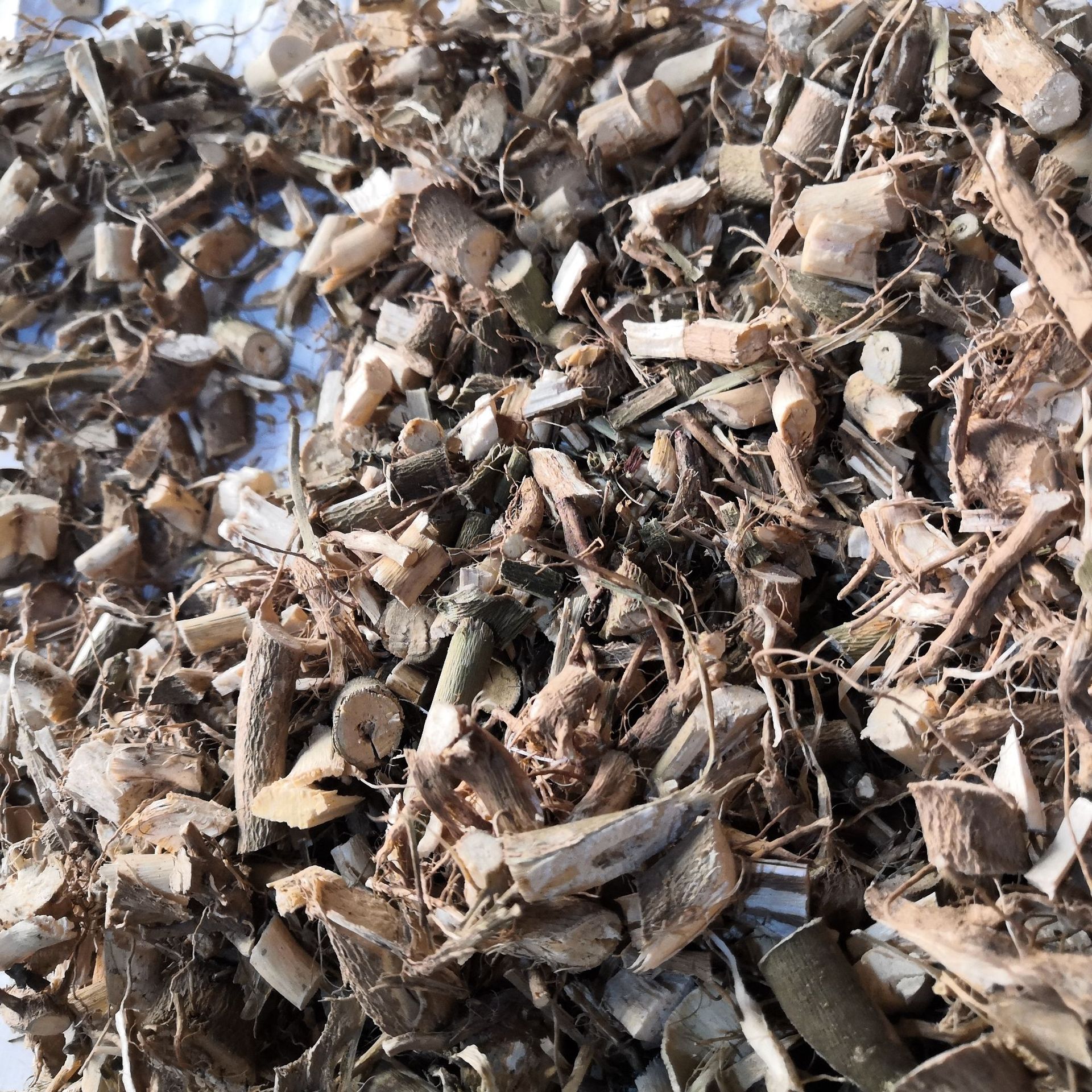 磨盘草批发 中药材 磨盘草 金花草 唐挡草 耳响草 磨笼子