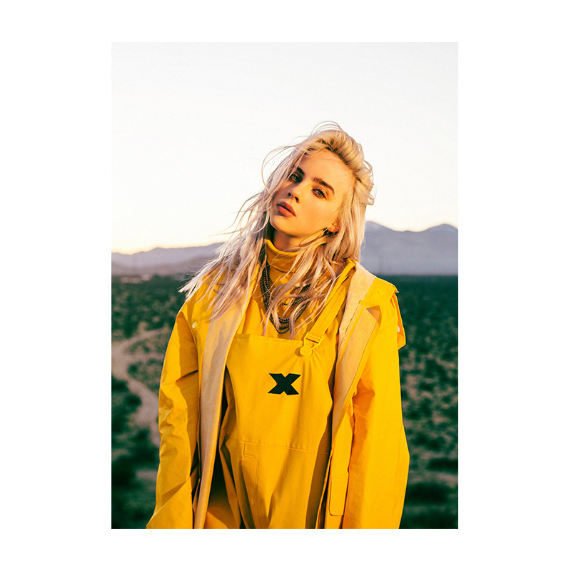 billie eilish碧梨海报帆布画 欧美明星写真装饰画芯