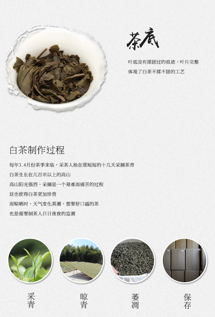 茶源传世2017年福鼎白茶寿眉茶饼花香日晒原产地磻溪高山300g包邮