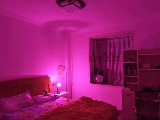 床头灯小夜灯led插电带开关遥控喂奶节能卧室浪漫粉色情调情趣灯