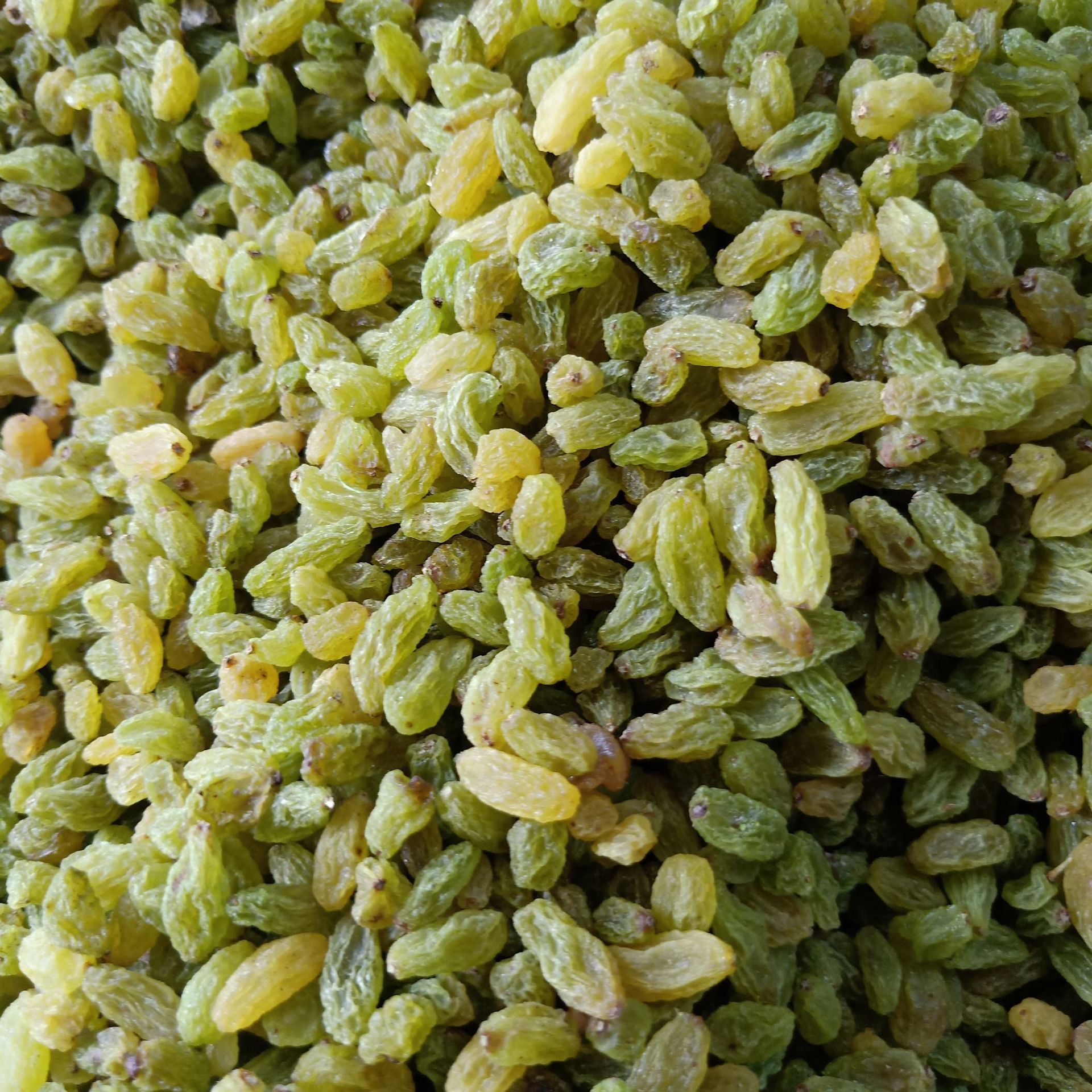 500吐鲁番葡萄-500吐鲁番葡萄厂家,品牌,图片,热帖-阿里巴巴