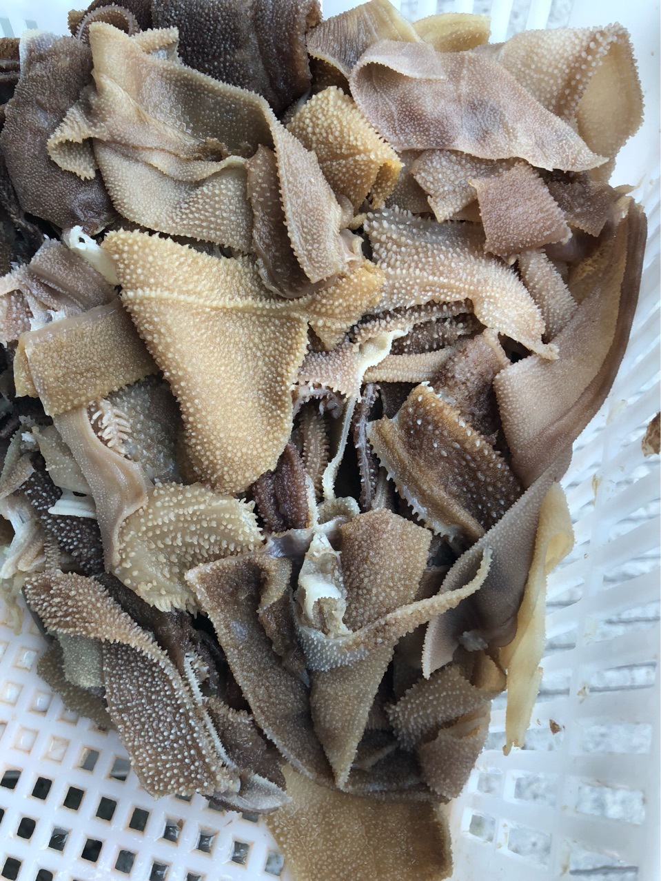 牛百叶批发冷冻牛百叶食材牛百叶价格火锅串串食材批发