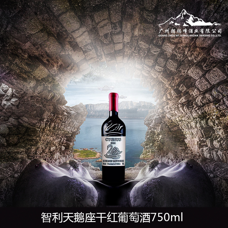智利天鹅座cygnus干红葡萄酒750ml封蜡t0580016