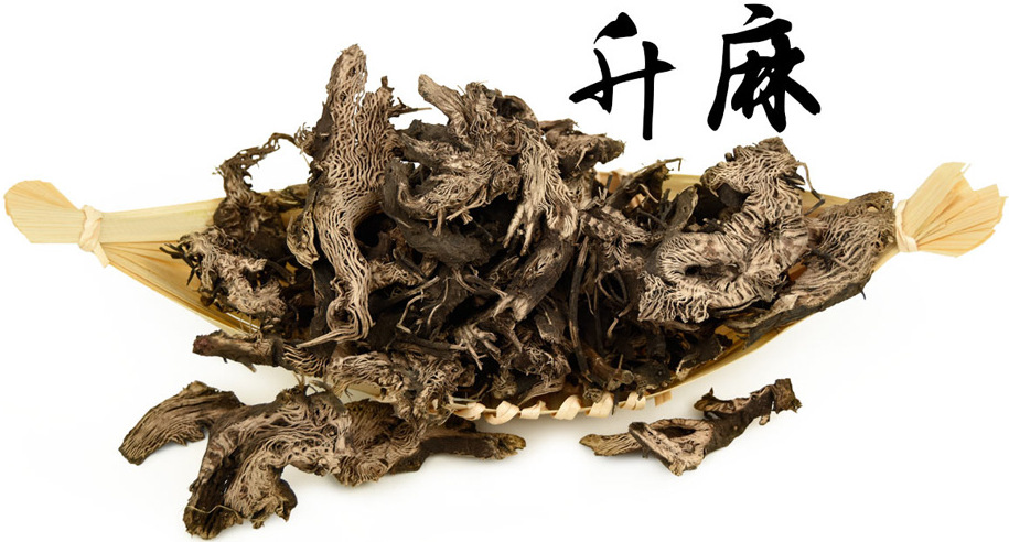 升麻提取物 10:1 龙眼根提取物 陕西慧科 量大优惠 包邮