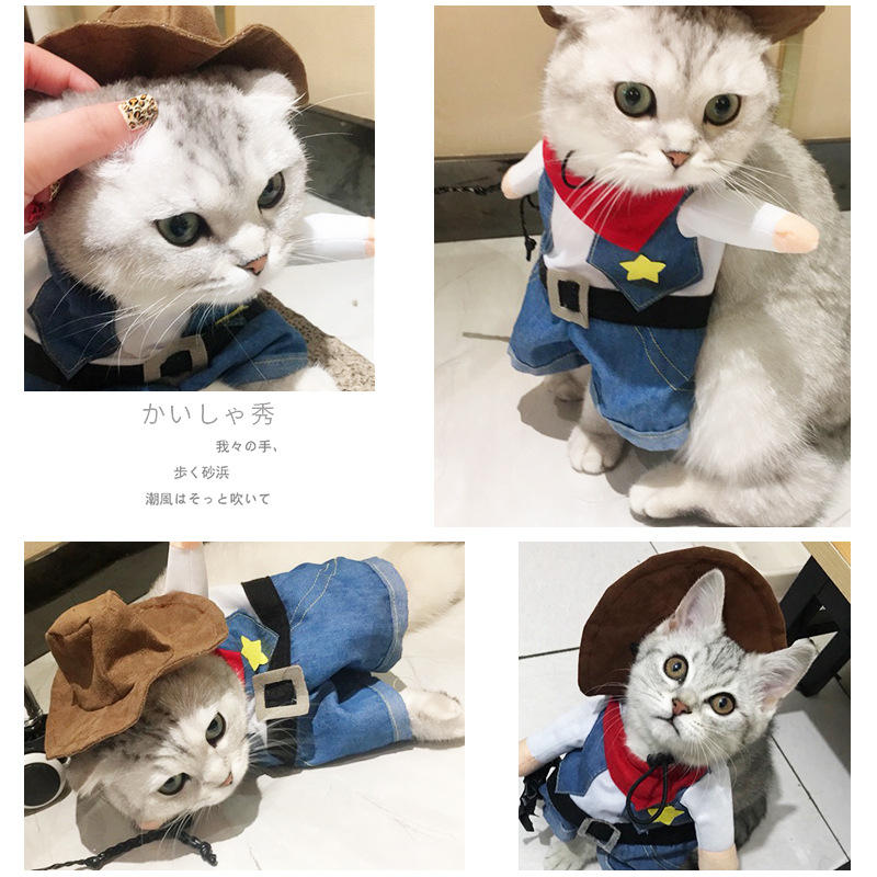 猫咪衣服西部牛仔装狗狗泰迪秋装抖音秋冬小猫英短宠物搞笑搞怪装