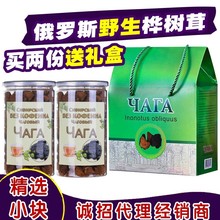 桦树茸礼盒批发 俄罗斯进口白桦茸桦树泪现货200g/瓶桦褐孔菌