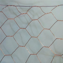 六角网网片  4公分  0.6米宽  pvc黑色鲜亮包塑