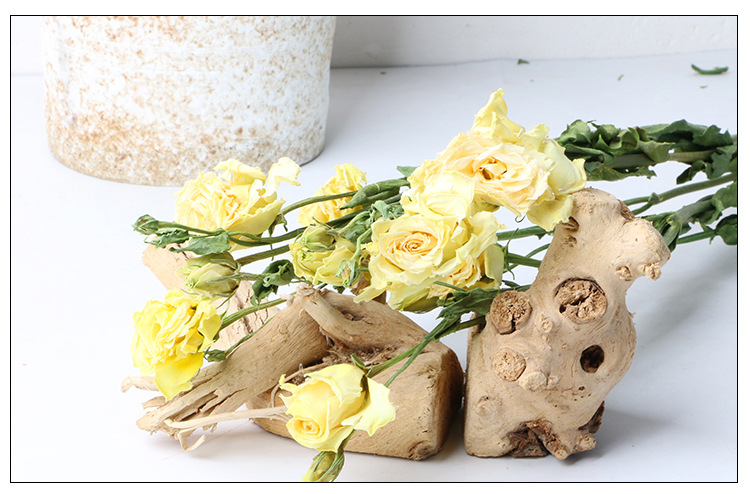 桔梗自然干花真花束花店插花 家居装饰干花 客厅diy插花拍摄道具