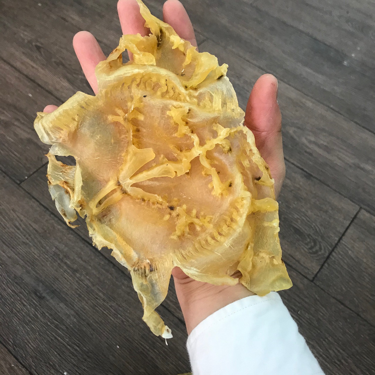 产地货源批发赤鱼胶成鱼胶花胶鱼肚鱼鳔鱼泡黄花胶海鲜500g