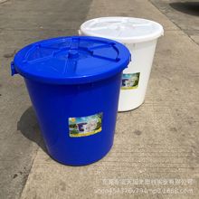 蓝天加厚款发酵塑料桶300升大白桶工厂酿酒桶白色食品级圆桶