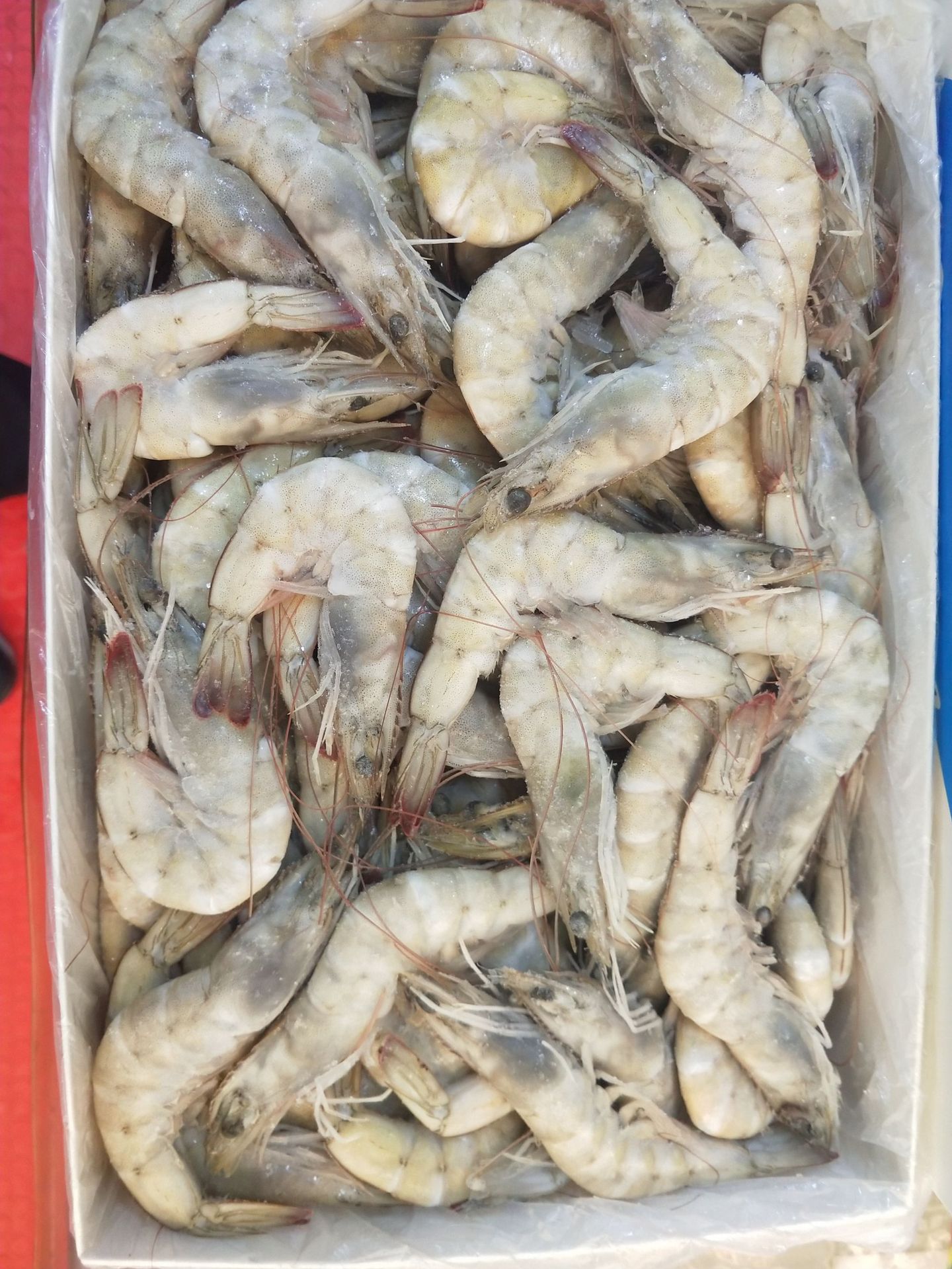 产地货源批发活冻鲜虾鲜冻大虾冻鲜沙虾青虾单冻青虾仁板冻虾仁