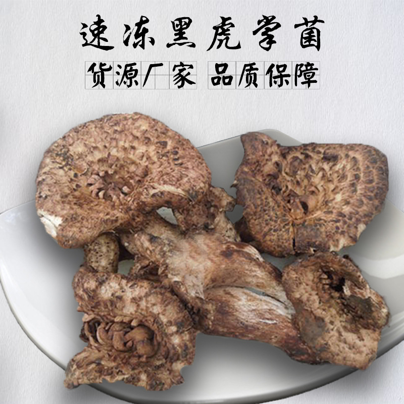 云南自然生长菌冰冻食用虎掌菌500g枣翘鳞肉齿菌批发黑虎掌菌冻品