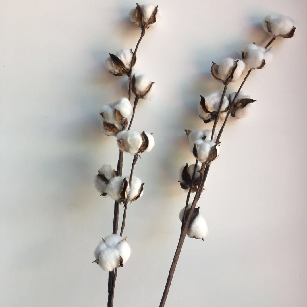 手工铁丝杆9头棉花 艺束插花 家居装饰 拍摄道具