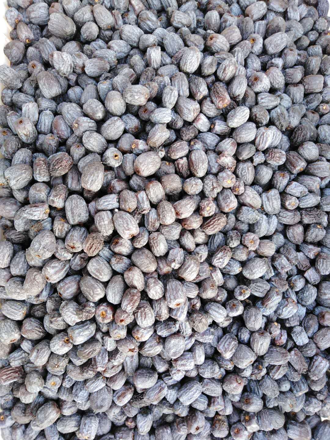 无核黑枣君子迁批发大量优质黑枣新鲜枣大黑枣散装盒装黑枣