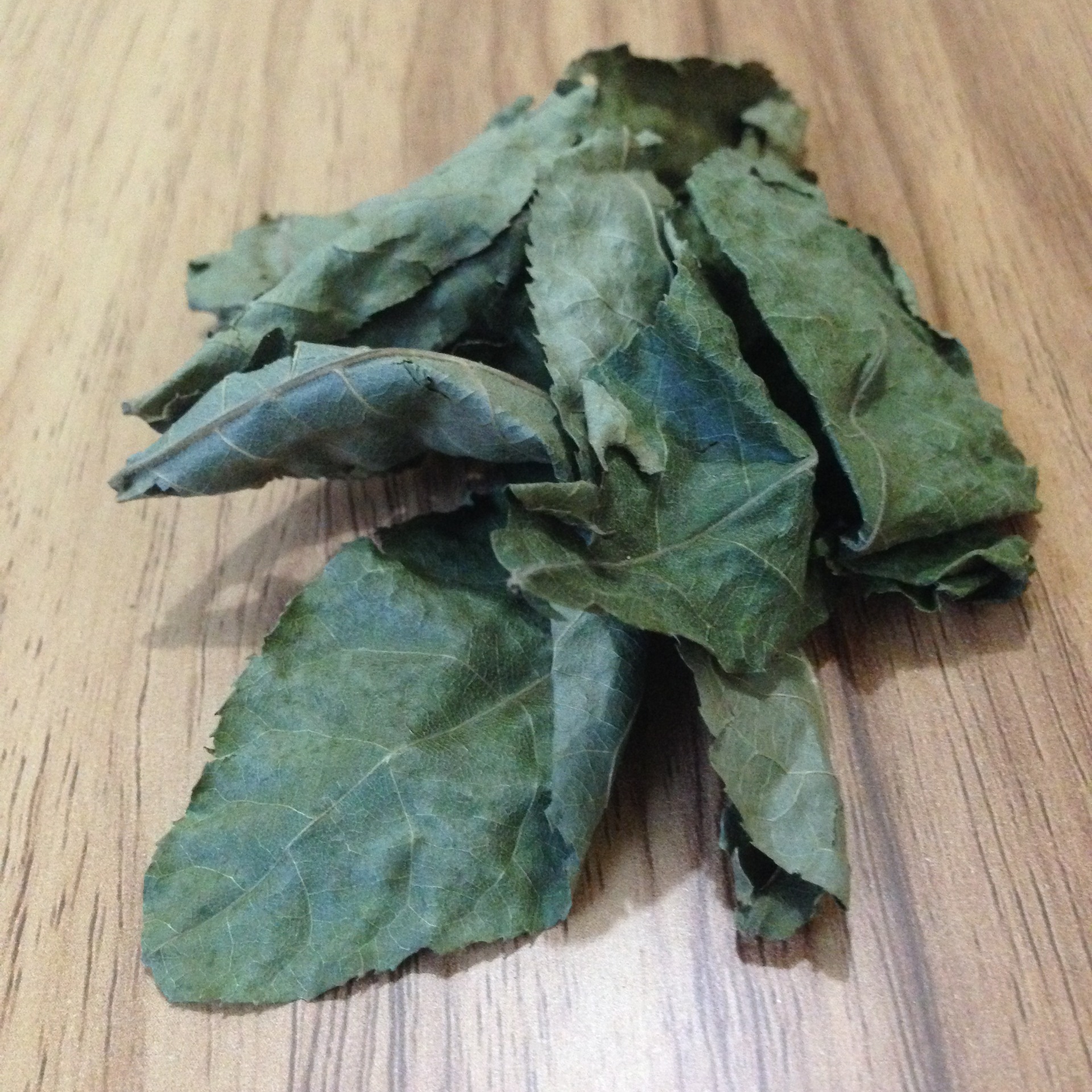 青钱柳叶子老叶子百年古树金钱柳大成叶茶青钱柳原叶冷背奇中药材