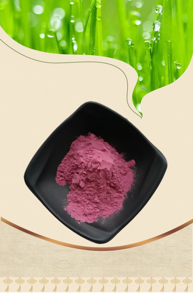 野樱莓果粉 野樱莓果汁粉 现货供应 清雅野樱莓粉 一公斤起批