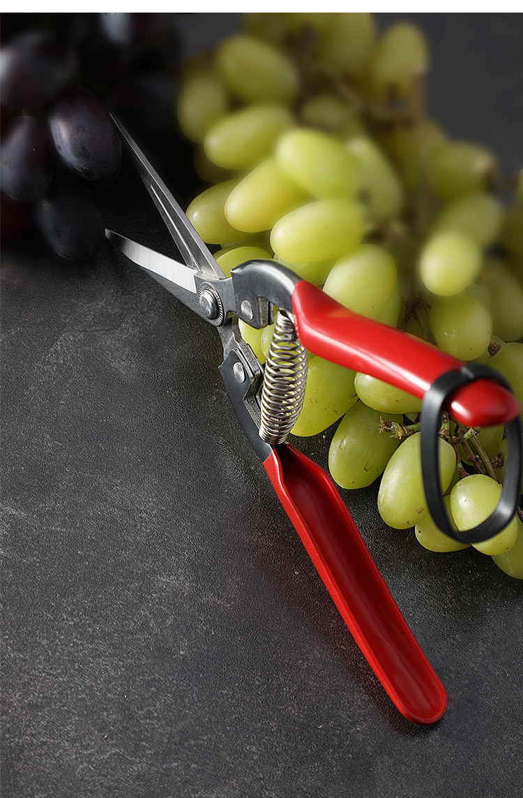 新款不锈钢园林剪刀 葡萄剪 果园摘果稀果剪盆景修枝园艺剪现货