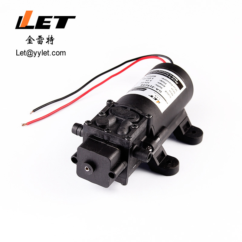 ga-2(3)38 微型电动隔膜泵12v 24v 洗车泵 微型隔膜泵