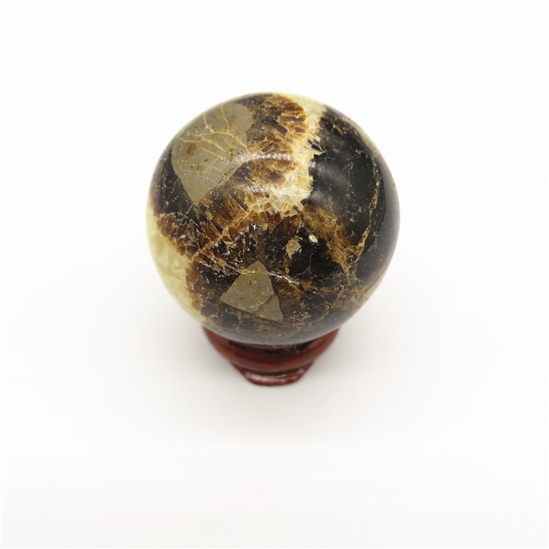 天然龟背石球原石风水摆件手把玩化石矿石鱼缸造景矿物标本水晶球