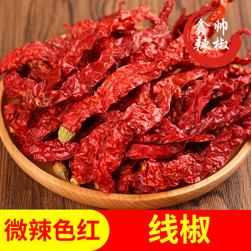 产地货源二荆条线椒纵椒微辣色红特香火锅餐饮麻辣香锅原材料500g
