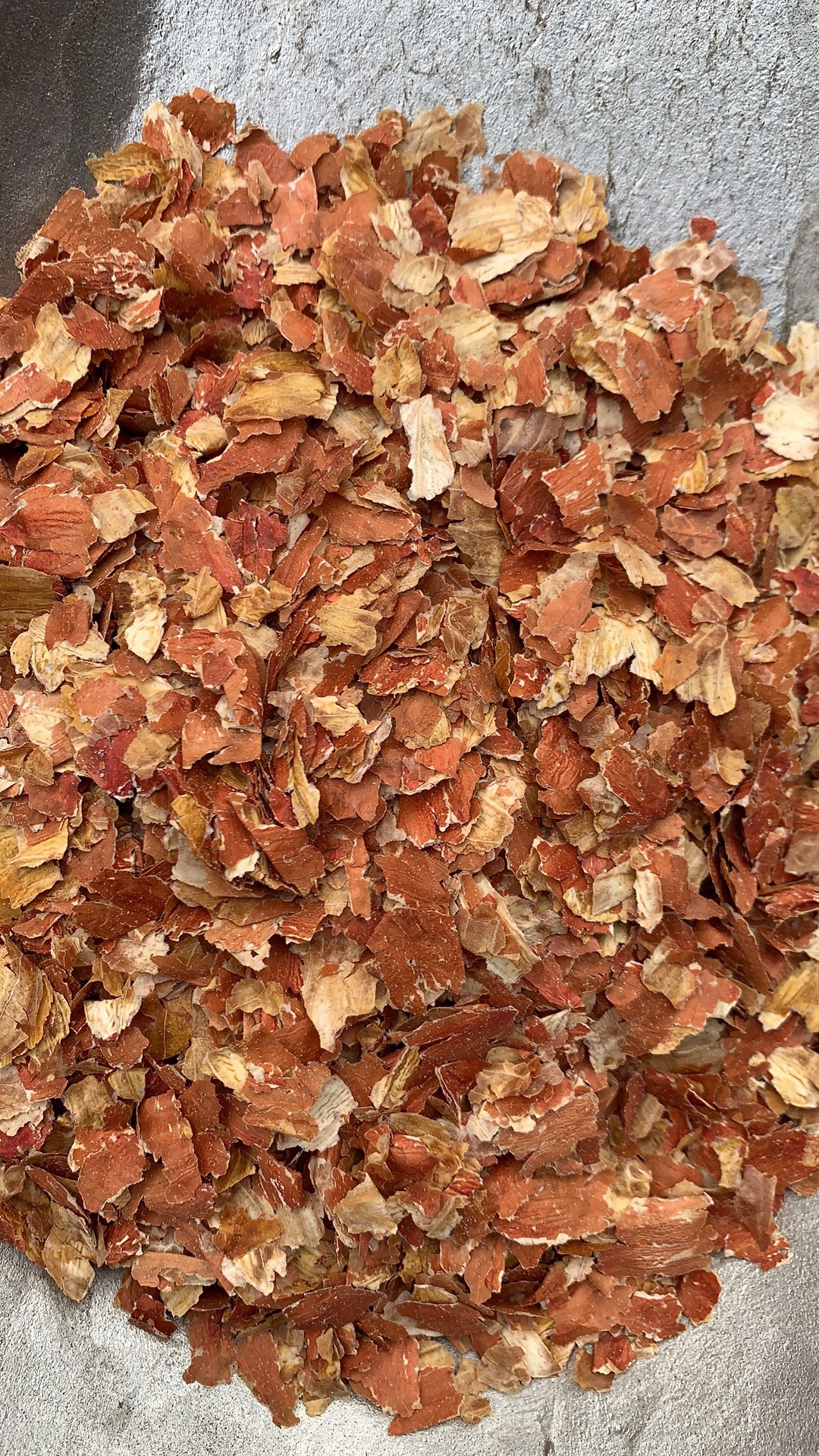 花生衣中药材新货红皮 花生衣 生剥红花生衣 红衣花生皮 量大