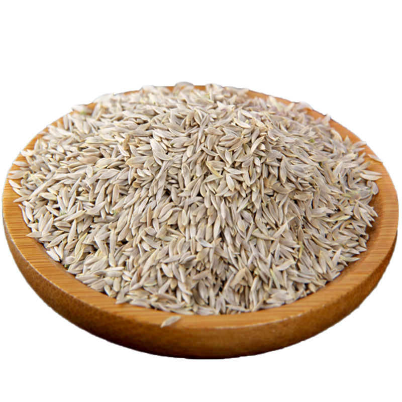 熟白生菜籽500g低温烘焙五谷磨粉现磨豆浆原料一件代发