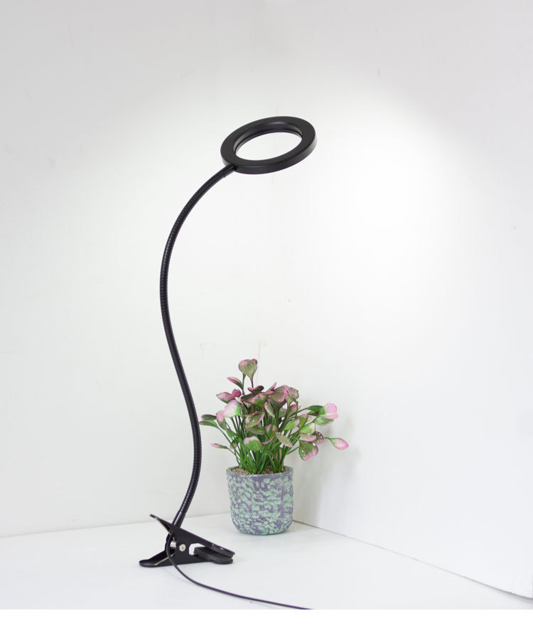 插电式高亮led护眼夹子台灯 美容纹绣阅读学习折叠夹式台灯