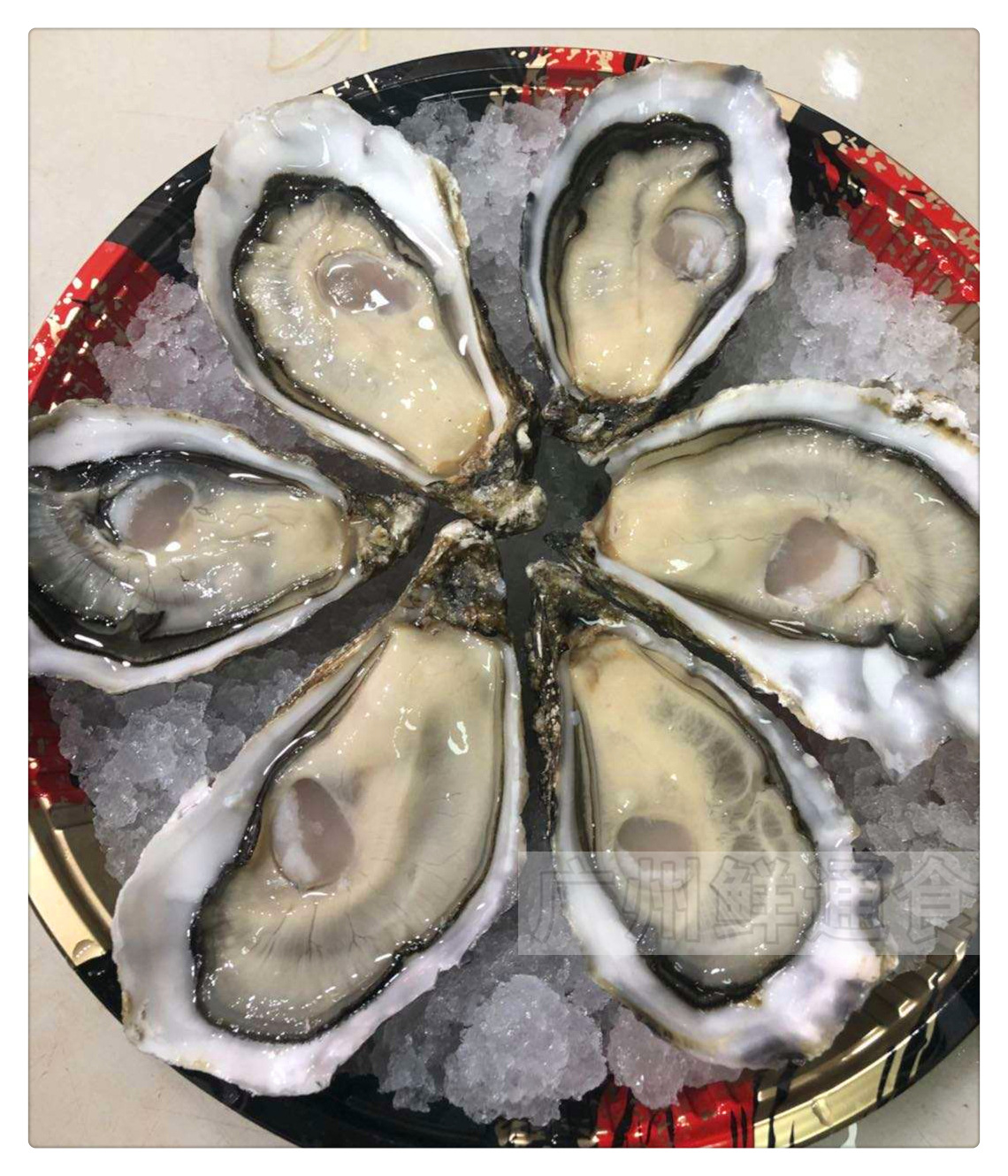 【法国安芝莲生蚝】生蚝n1/n2海鲜批发鲜活牡蛎刺身即食48只