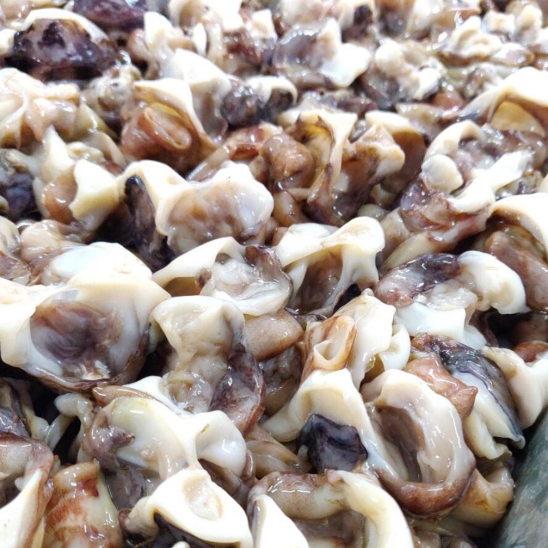 丹东永明食品 鱿鱼脖海鲜冷冻鱿鱼软骨 边角碎料鱿鱼