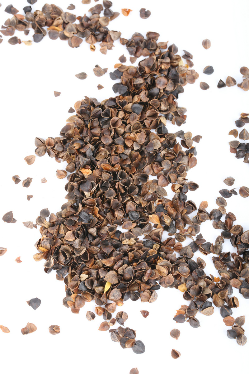 批发甜荞麦壳熟壳荞麦皮枕头填充物纺织物填充料装保健枕填充料