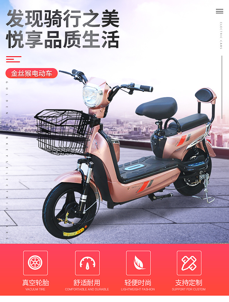 金丝猴电动车 成人 两轮 电动自行车 电瓶车 电动车批发