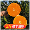 Meishan Citrus Orange Fresh fruit Shunfeng Ehime 42 Princess orange Meishan Citrus Orange Fresh fruit Shunfeng Ehime 42 Princess orange