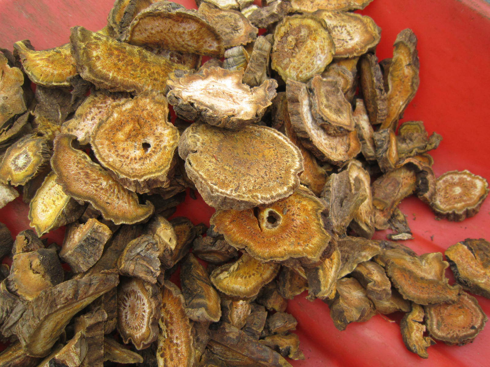 肃药堂 甘肃产地直供中药材无硫大黄片生大黄片可打大黄粉包邮