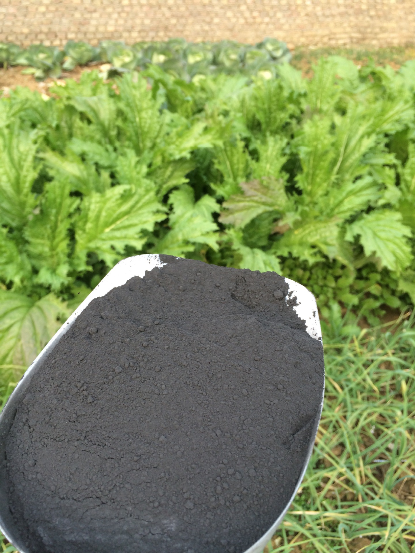 02-3% 325富硒矿粉 800硒矿 2000硒矿粉 18972798180