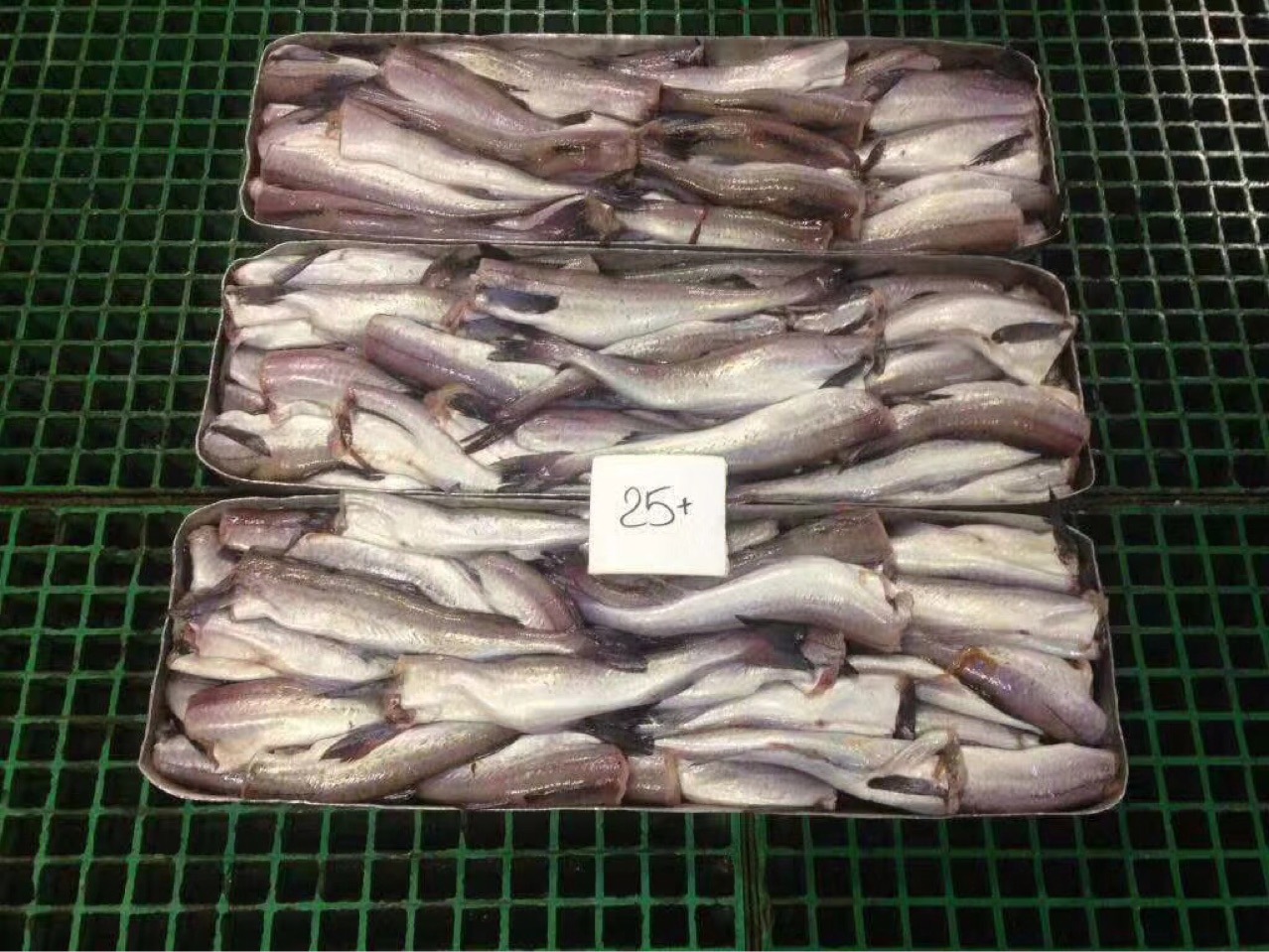 俄罗斯明太鱼阿拉斯加狭鳕鱼