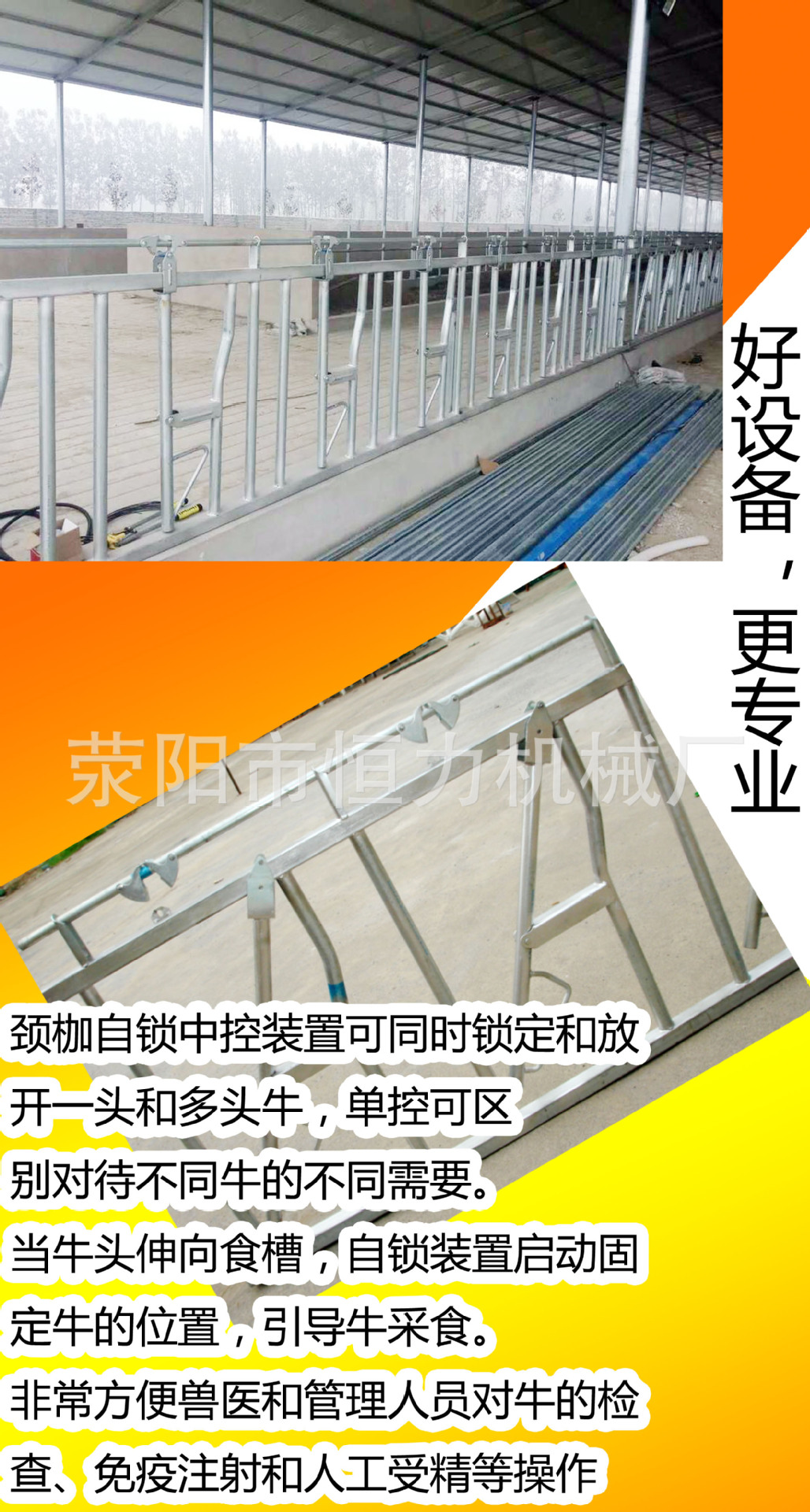 恒力养牛设备6米8位牛颈枷生产厂家 牛颈枷配件价格 牛颈夹批发