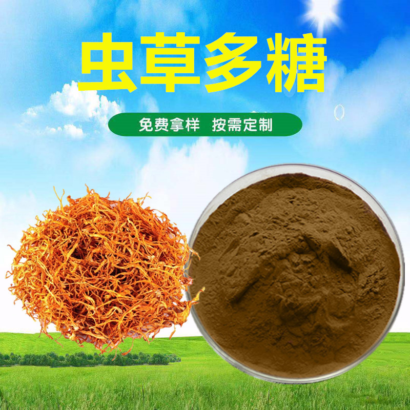 虫草多糖30% 虫草菌丝体提取物 蛹虫草多糖 蛹虫草粉 500克装