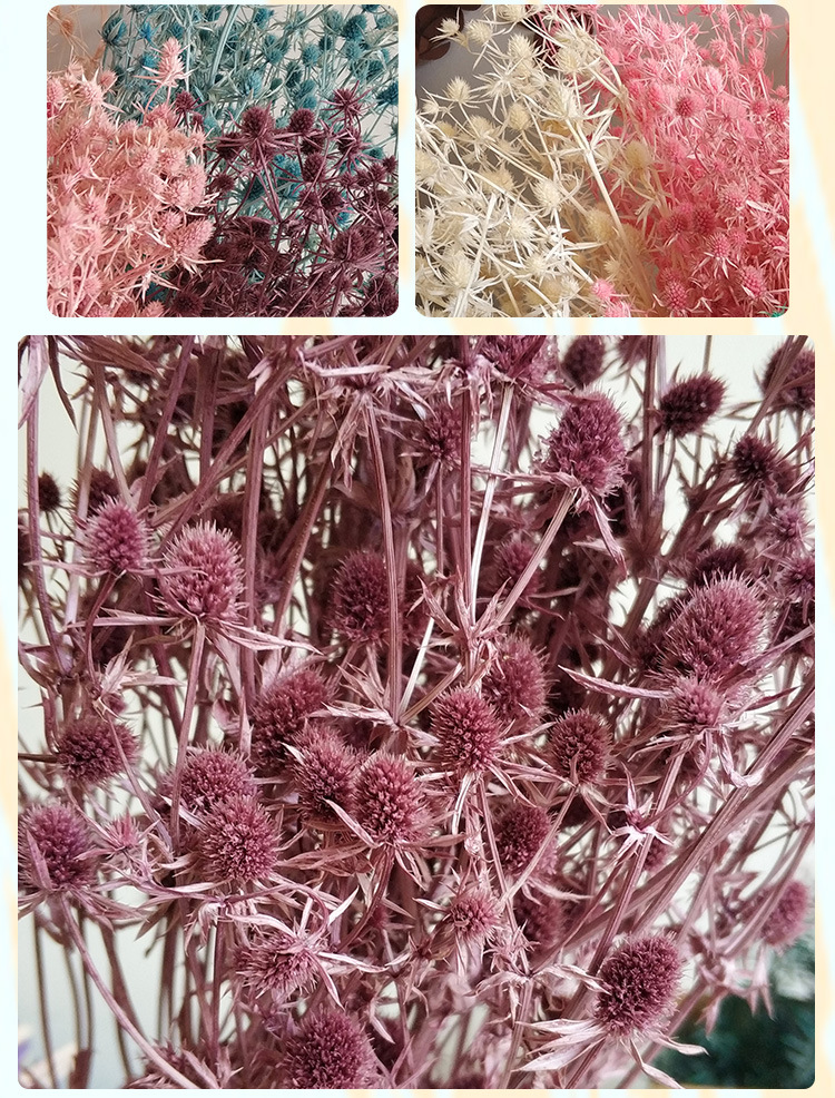 永生情人果干花花束ins摆件教师情人节创意礼物 情人果永生花材料