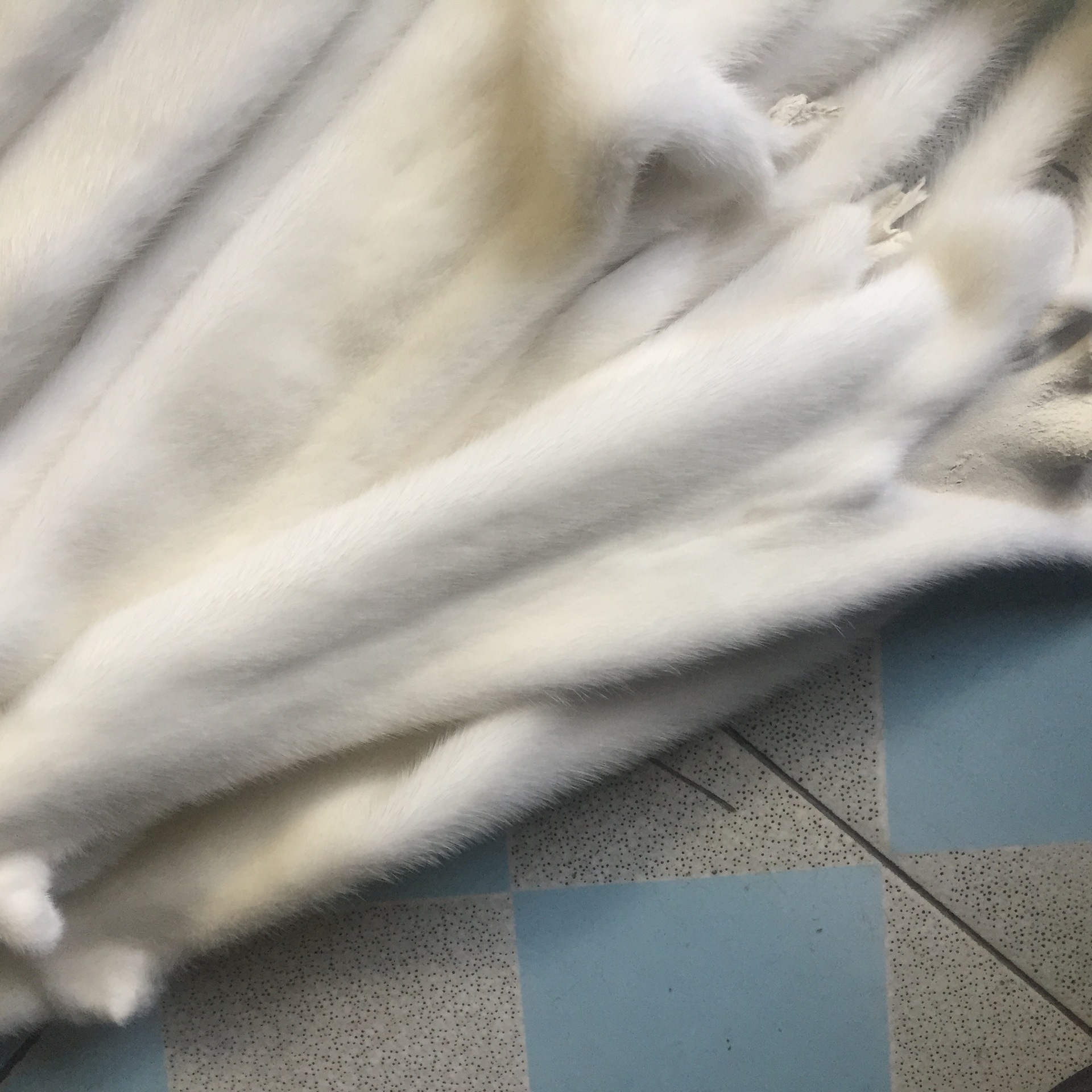 品名 水貂皮 产地/厂家 大营镇 毛皮形态 小毛细