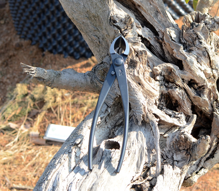 210mm斜口钳叉枝剪盆景造型制作专业工具性朱记b02性价比高